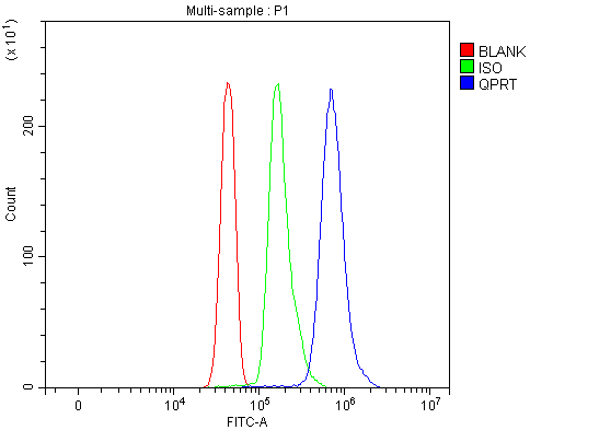  Flow Cytometry analysis of Jurkat cells using anti-QPRT antibody (A09896)