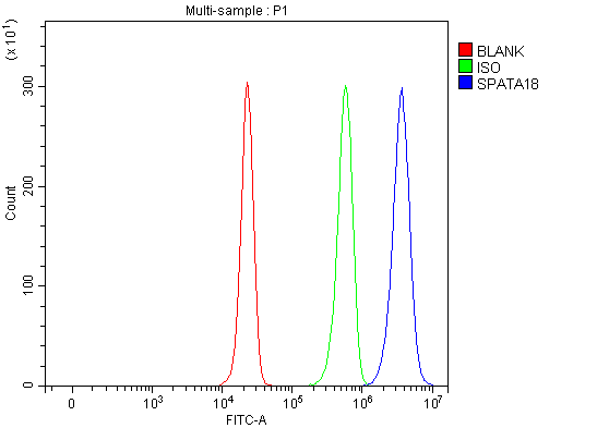 a09906 1 spata18 primary antibodies fcm testing 5