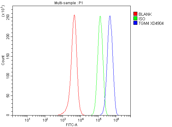 Flow Cytometry analysis of SH-SY5Y cells using anti-TGM4 antibody (A09912-1)