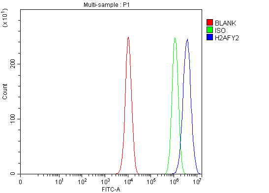 a09931 1 h2afy2 primary antibodies fcm testing 6