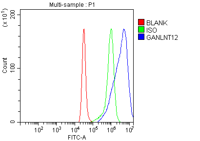 a09946 galnt12 primary antibodies fcm testing 3