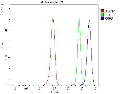 a09950 2 rrp8 primary antibodies fcm testing 3