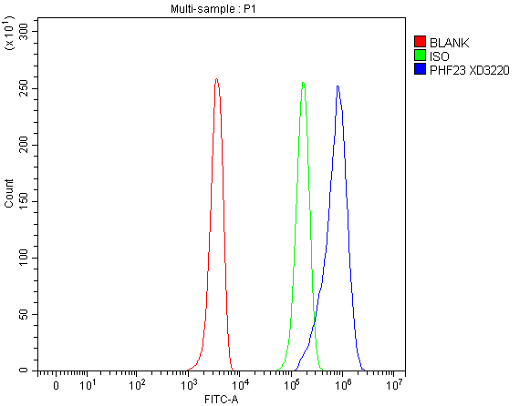 a09961 1 phf23 primary antibodies fcm testing 1