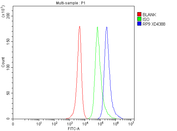 a09964 1 rp9 primary antibodies fcm testing 1
