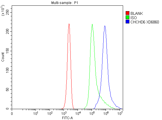 a09965 1 chchd6 primary antibodies fcm testing 1