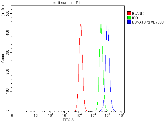 a09966 1 ebna1bp2 primary antibodies fcm testing 1