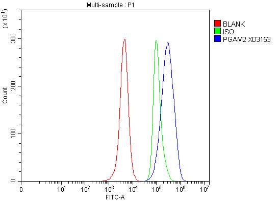 a10014 2 pgam2 primary antibodies fcm testing 1