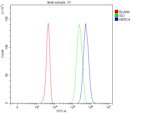 a10089 1 herc4 primary antibodies fcm testing 1