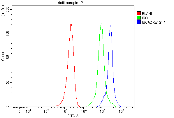 a10181 1 isca2 primary antibodies fcm testing 1