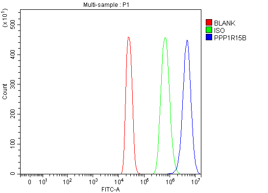 a10225 2 ppp1r15b primary antibodies fcm testing 2