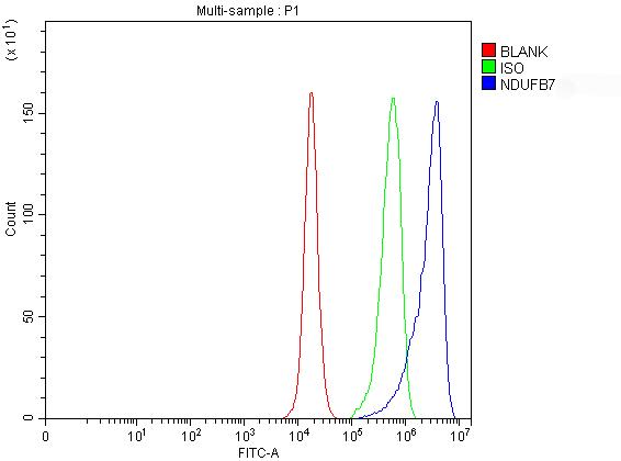 a10231 1 ndufb7 primary antibodies fcm testing 1