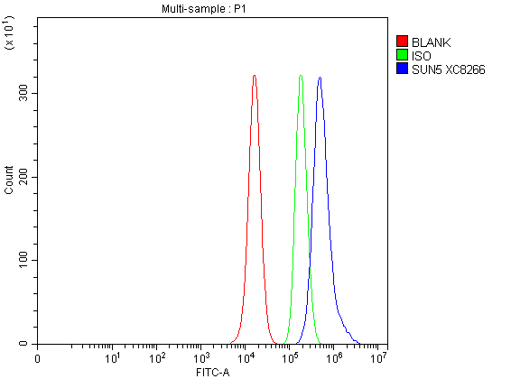 a10237 2 sun5 primary antibodies fcm testing 1