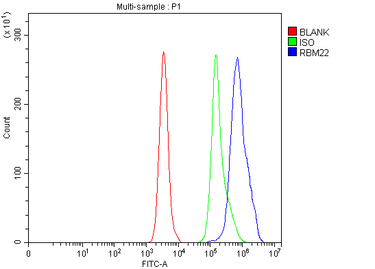 a10311 1 rbm22 primary antibodies fcm testing 15