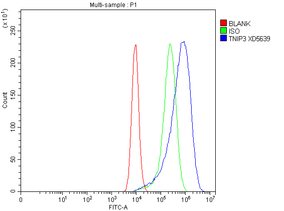 Flow Cytometry analysis of CACO-2 cells using anti-TNIP3 antibody (A10336-1)