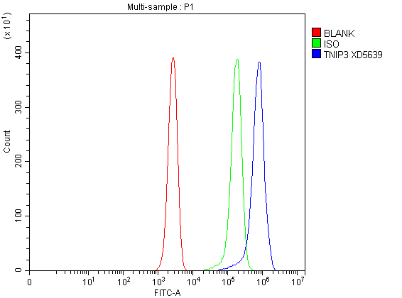 a10336 1 tnip3 primary antibodies fcm testing 2