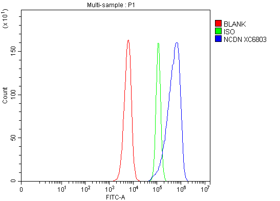 a10337 2 ncdn primary antibodies fcm testing 1