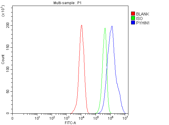 a10377 1 pyhin1 primary antibodies fcm testing 1