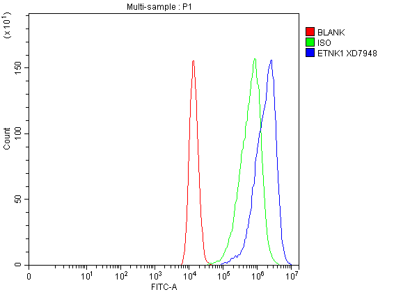 a10379 etnk1 primary antibodies fcm testing 1