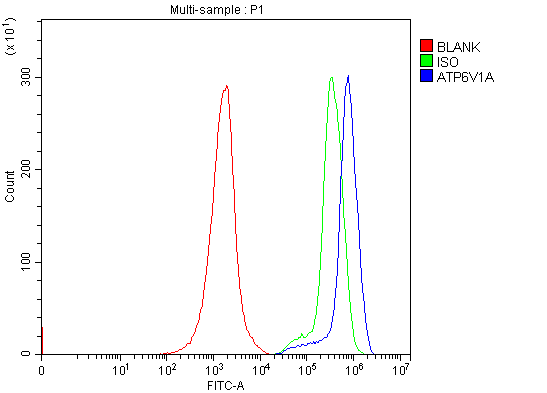 a10401 2 atp6v1a primary antibodies fcm testing 11