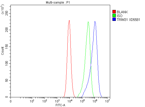 Flow Cytometry analysis of CACO-2 cells using anti-TRIM31 antibody (A10425-1)