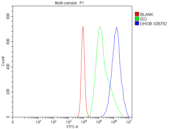 Flow Cytometry analysis of Caco-2 cells using anti-DHX38 antibody (A10426-1)