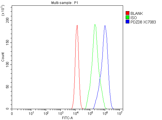 a10427 1 pdzd8 primary antibodies fcm testing 1