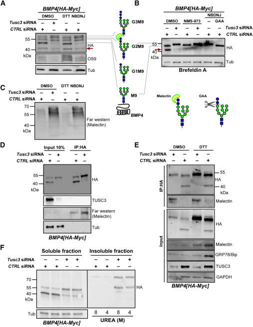 a10455 1 publication gr2