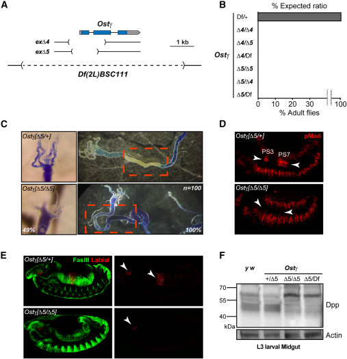 a10455 1 publication gr3