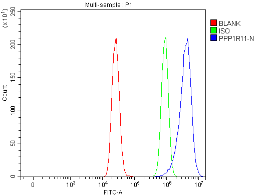 Figure 2. Flow Cytometry analysis of MCF-7 cells using anti-PPP1R11 antibody (A10474-2). Overlay histogram showing MCF-7 cells stained with A10474-2 (Blue line). To facilitate intracellular staining, cells were fixed with 4% paraformaldehyde and permeabilized with permeabilization buffer. The cells were blocked with 10% normal goat serum. And then incubated with rabbit anti-PPP1R11 Antibody (A10474-2, 1 microg/1x106 cells) for 30 min at 20°C. DyLight®488 conjugated goat anti-rabbit IgG (BA1127, 5-10 microg/1x106 cells) was used as secondary antibody for 30 minutes at 20°C. Isotype control antibody (Green line) was rabbit IgG (1 microg/1x106) used under the same conditions. Unlabelled sample (Red line) was also used as a control. Figure 2. Flow Cytometry analysis of MCF-7 cells using anti-PPP1R11 antibody (A10474-2). Overlay histogram showing MCF-7 cells stained with A10474-2 (Blue line). To facilitate intracellular staining, cells were fixed with 4% paraformaldehyde and permeabilized with permeabilization buffer. The cells were blocked with 10% normal goat serum. And then incubated with rabbit anti-PPP1R11 Antibody (A10474-2, 1 microg/1x106 cells) for 30 min at 20°C. DyLight®488 conjugated goat anti-rabbit IgG (BA1127, 5-10 microg/1x106 cells) was used as secondary antibody for 30 minutes at 20°C. Isotype control antibody (Green line) was rabbit IgG (1 microg/1x106) used under the same conditions. Unlabelled sample (Red line) was also used as a control.