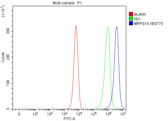 a10488 2 mrps16 primary antibodies fcm testing 1