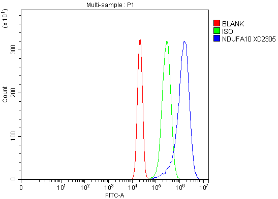 a10517 1 ndufa10 primary antibodies fcm testing 1