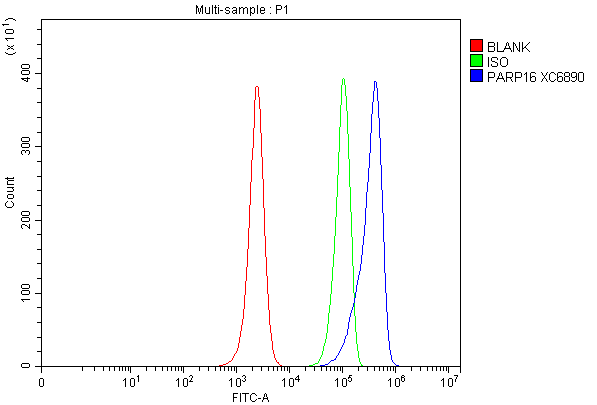 a10545 1 parp16 primary antibodies fcm testing 1