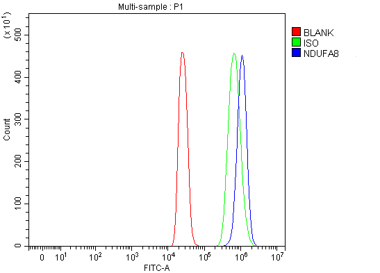Figure 2. Flow Cytometry analysis of 293T cells using anti-NDUFA8 antibody (A10547-2). Overlay histogram showing 293T cells stained with A10547-2 (Blue line). To facilitate intracellular staining, cells were fixed with 4% paraformaldehyde and permeabilized with permeabilization buffer. The cells were blocked with 10% normal goat serum. And then incubated with rabbit anti-NDUFA8 Antibody (A10547-2, 1 microg/1x106 cells) for 30 min at 20°C. DyLight®488 conjugated goat anti-rabbit IgG (BA1127, 5-10 microg/1x106 cells) was used as secondary antibody for 30 minutes at 20°C. Isotype control antibody (Green line) was rabbit IgG (1 microg/1x106) used under the same conditions. Unlabelled sample (Red line) was also used as a control. Figure 2. Flow Cytometry analysis of 293T cells using anti-NDUFA8 antibody (A10547-2). Overlay histogram showing 293T cells stained with A10547-2 (Blue line). To facilitate intracellular staining, cells were fixed with 4% paraformaldehyde and permeabilized with permeabilization buffer. The cells were blocked with 10% normal goat serum. And then incubated with rabbit anti-NDUFA8 Antibody (A10547-2, 1 microg/1x106 cells) for 30 min at 20°C. DyLight®488 conjugated goat anti-rabbit IgG (BA1127, 5-10 microg/1x106 cells) was used as secondary antibody for 30 minutes at 20°C. Isotype control antibody (Green line) was rabbit IgG (1 microg/1x106) used under the same conditions. Unlabelled sample (Red line) was also used as a control.