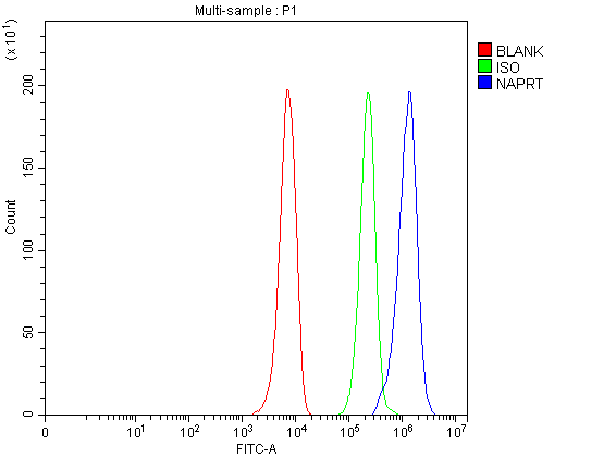 a10553 1 naprt primary antibodies fcm testing 1