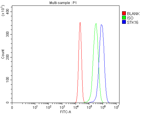 a10583 1 stk16 primary antibodies fcm testing 2