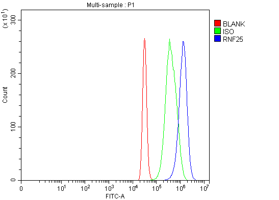 a10595 3 rnf25 primary antibodies fcm testing 12