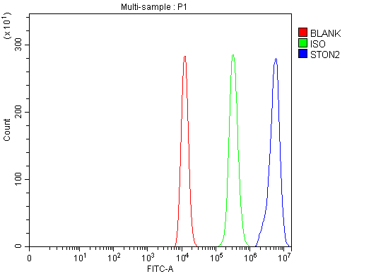 a10624 ston2 primary antibodies fcm testing 1
