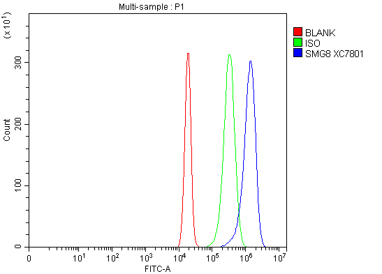 a10635 2 smg8 primary antibodies fcm testing 1