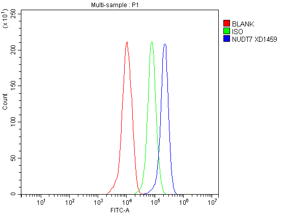 a10663 1 nudt7 primary antibodies fcm testing 4