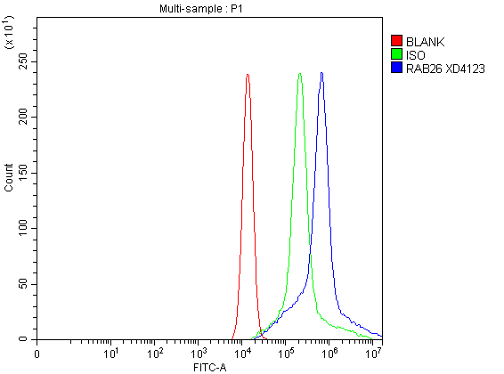 Flow Cytometry analysis of A549 cells using anti-RAB26 antibody (A10670-2)