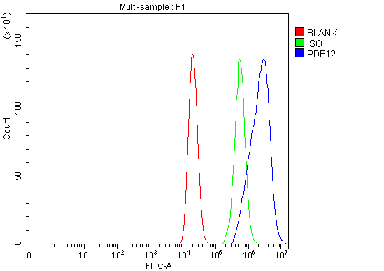 Figure 3. Flow Cytometry analysis of Caco-2 cells using anti-PDE12 antibody (A10688-1). Overlay histogram showing Caco-2 cells stained with A10688-1 (Blue line). To facilitate intracellular staining, cells were fixed with 4% paraformaldehyde and permeabilized with permeabilization buffer. The cells were blocked with 10% normal goat serum. And then incubated with rabbit anti-PDE12 Antibody (A10688-1, 1 microg/1x106 cells) for 30 min at 20°C. DyLight®488 conjugated goat anti-rabbit IgG (BA1127, 5-10 microg/1x106 cells) was used as secondary antibody for 30 minutes at 20°C. Isotype control antibody (Green line) was rabbit IgG (1 microg/1x106) used under the same conditions. Unlabelled sample (Red line) was also used as a control. Figure 3. Flow Cytometry analysis of Caco-2 cells using anti-PDE12 antibody (A10688-1). Overlay histogram showing Caco-2 cells stained with A10688-1 (Blue line). To facilitate intracellular staining, cells were fixed with 4% paraformaldehyde and permeabilized with permeabilization buffer. The cells were blocked with 10% normal goat serum. And then incubated with rabbit anti-PDE12 Antibody (A10688-1, 1 microg/1x106 cells) for 30 min at 20°C. DyLight®488 conjugated goat anti-rabbit IgG (BA1127, 5-10 microg/1x106 cells) was used as secondary antibody for 30 minutes at 20°C. Isotype control antibody (Green line) was rabbit IgG (1 microg/1x106) used under the same conditions. Unlabelled sample (Red line) was also used as a control.