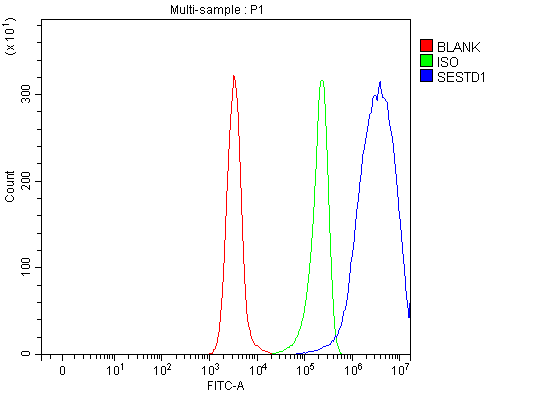 Figure 2. Flow Cytometry analysis of Daudi cells using anti-Solo/SESTD1 antibody (A10698-1). Overlay histogram showing Daudi cells stained with A10698-1 (Blue line). To facilitate intracellular staining, cells were fixed with 4% paraformaldehyde and permeabilized with permeabilization buffer. The cells were blocked with 10% normal goat serum. And then incubated with rabbit anti-Solo/SESTD1 Antibody (A10698-1, 1 microg/1x106 cells) for 30 min at 20°C. DyLight®488 conjugated goat anti-rabbit IgG (BA1127, 5-10 microg/1x106 cells) was used as secondary antibody for 30 minutes at 20°C. Isotype control antibody (Green line) was rabbit IgG (1 microg/1x106) used under the same conditions. Unlabelled sample without incubation with primary antibody and secondary antibody (Red line) was used as a blank control.