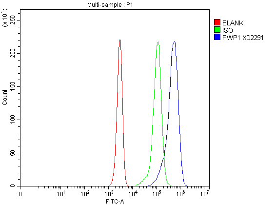Flow Cytometry analysis of Jurkat cells using anti-PWP1 antibody (A10720-1)