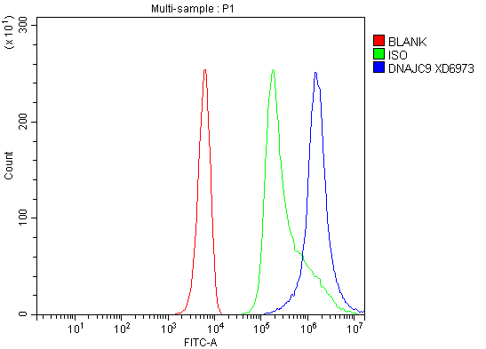a10730 2 dnajc9 primary antibodies fcm testing 1