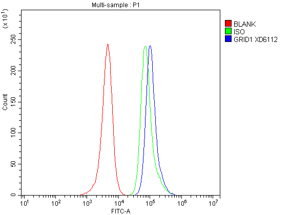 Flow Cytometry analysis of SH-SY5Y cells using anti-GRID1 antibody (A10763-1)
