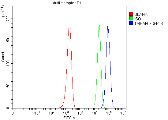 Flow Cytometry analysis of EL-4 cells using anti-TMEM9 antibody (A10779-1)