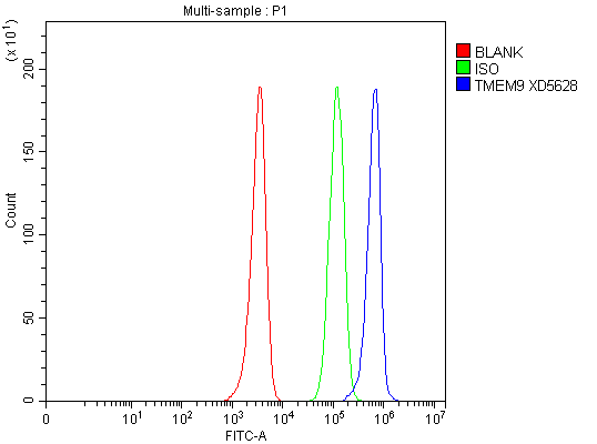 a10779 1 tmem9 primary antibodies fcm testing 3