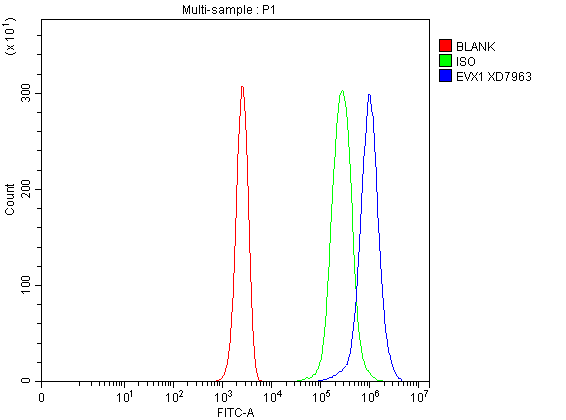 a10794 1 evx1 primary antibodies fcm testing 1
