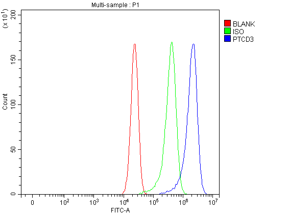 a10795 1 ptcd3 primary antibodies fcm testing 6