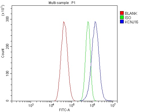Figure 2. Flow Cytometry analysis of U87 cells using anti-KCNJ16 antibody (A10858-3). Overlay histogram showing U87 cells stained with A10858-3 (Blue line). The cells were fixed with 4% paraformaldehyde and blocked with 10% normal goat serum. And then incubated with rabbit anti-KCNJ16 Antibody (A10858-3, 1microg/1x106 cells) for 30 min at 20°C. DyLight®488 conjugated goat anti-rabbit IgG (BA1127, 5-10microg/1x106 cells) was used as secondary antibody for 30 minutes at 20°C. Isotype control antibody (Green line) was rabbit IgG (1microg/1x106) used under the same conditions. Unlabelled sample without incubation with primary antibody and secondary antibody (Red line) was used as a blank control.